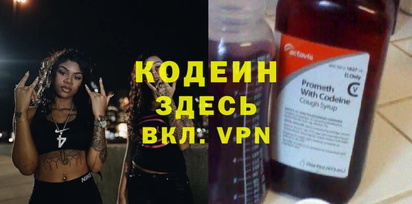 эйфоретик Алзамай