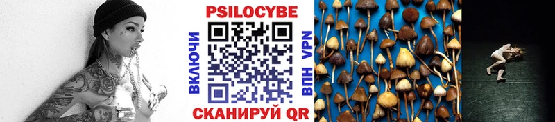 купить наркоту Хотьково Галлюциногенные грибы GOLDEN TEACHER